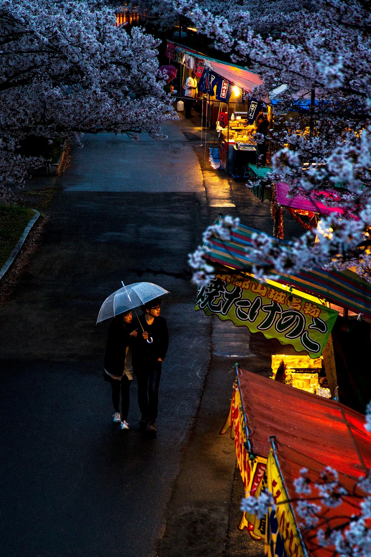 Experiência de viagem no Japão